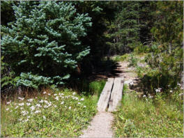Lulu Town Site Trail - Rocky Mountain NP, CO