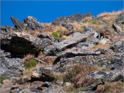 Trail Ridge Road - Rocky Mountain NP,  CO