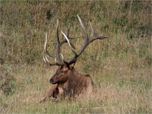 Rocky Mountain NP, CO