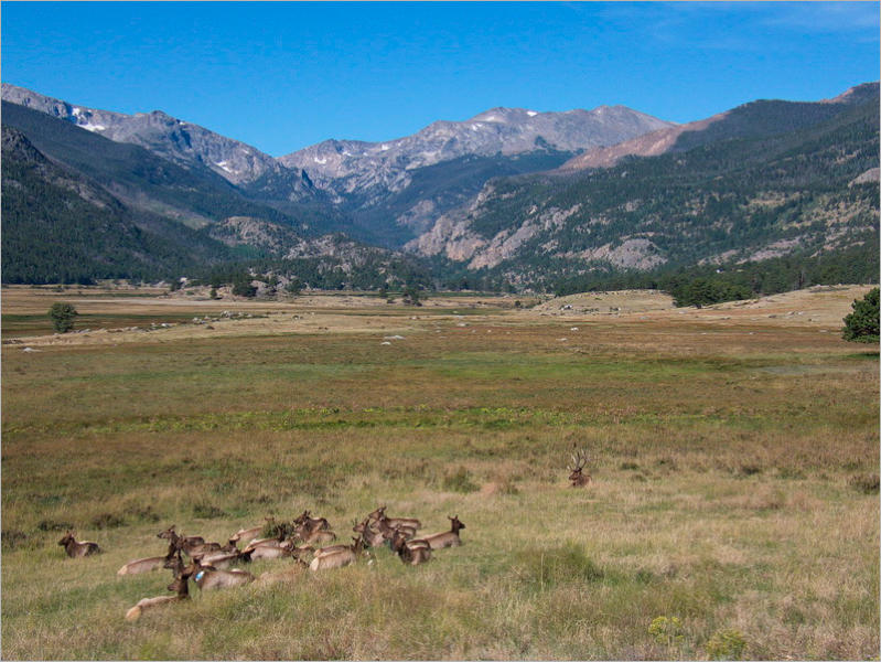 Rocky Mountain NP, CO