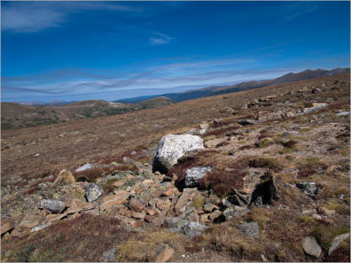 Tundra Communities Trail - Rocky Mountain NP, CO