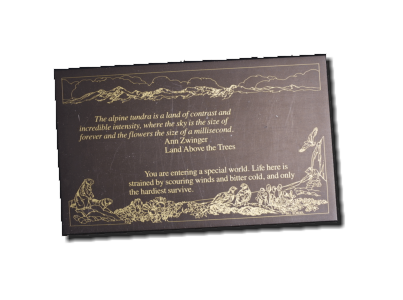 Tundra Communities Trail - Rocky Mountain NP, CO