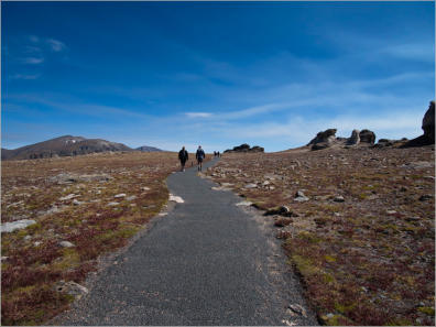 Tundra Communities Trail - Rocky Mountain NP, CO