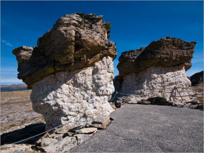 Tundra Communities Trail - Rocky Mountain NP, CO