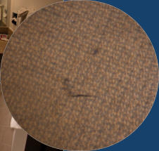 Days Inn - Casper, WY