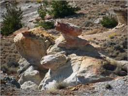 Castle Gardens Petroglyph Site - WY