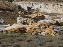 Castle Gardens Petroglyph Site - WY