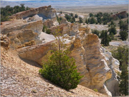 Castle Gardens Petroglyph Site - WY
