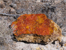 Castle Gardens Petroglyph Site - WY