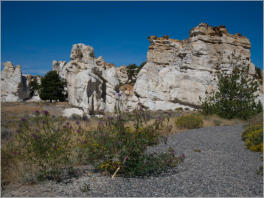 Castle Gardens Petroglyph Site - WY