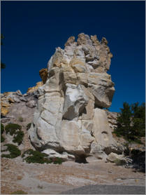 Castle Gardens Petroglyph Site - WY