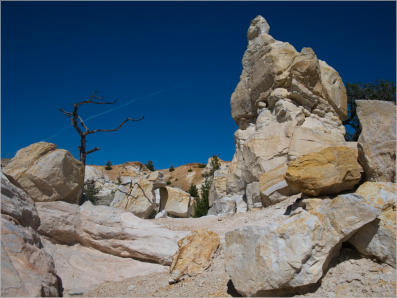 Castle Gardens Petroglyph Site - WY