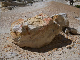 Castle Gardens Petroglyph Site - WY
