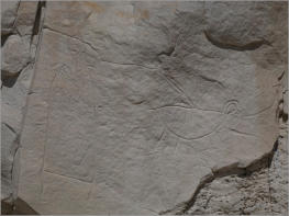 Castle Gardens Petroglyph Site - WY