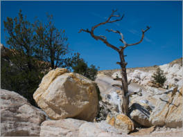 Castle Gardens Petroglyph Site - WY