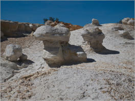 Castle Gardens Petroglyph Site - WY