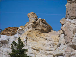 Castle Gardens Petroglyph Site - WY