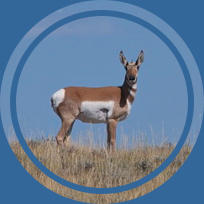 Entlang der Castle Gardens Road, WY