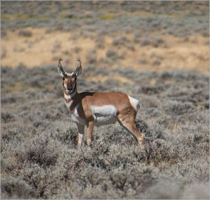 Entlang der Castle Gardens Road, WY
