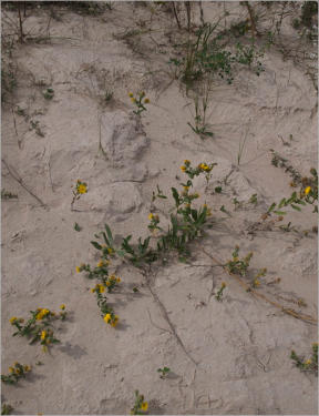 Toadstool Geologic Park, NE
