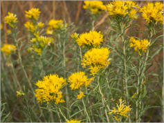 Toadstool Geologic Park, NE
