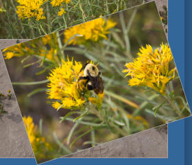 Toadstool Geologic Park, NE