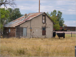 Ardmore - South Dakota