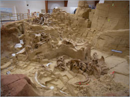 The Mammoth Site - Hot Springs, SD
