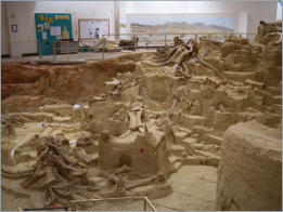 The Mammoth Site - Hot Springs, SD