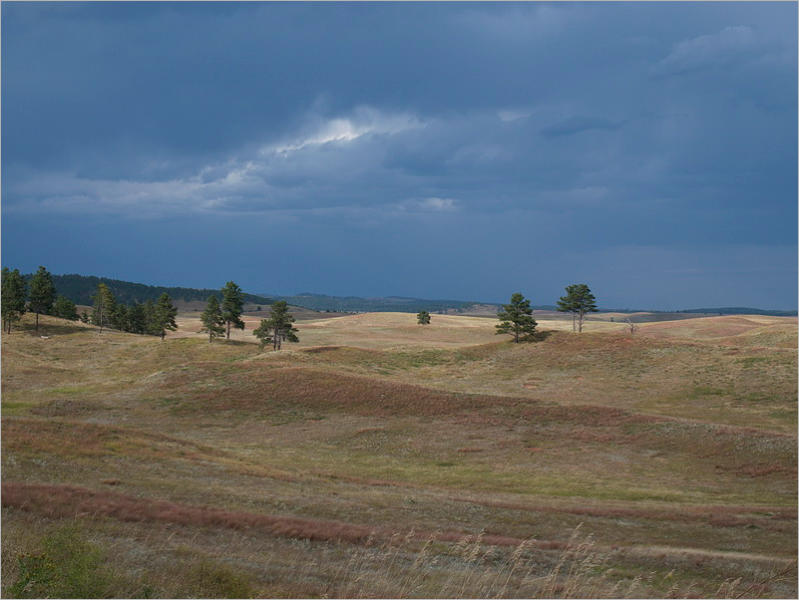 Wind Cave NP - South Dakota