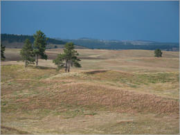 Wind Cave NP - South Dakota