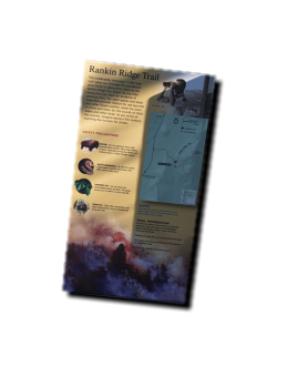 Rankin Ridge Trail - Wind Cave NP, SD