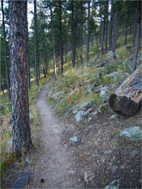Rankin Ridge Trail - Wind Cave NP, SD