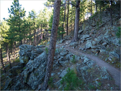 Rankin Ridge Trail - Wind Cave NP, SD
