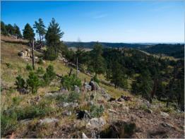 Rankin Ridge Trail - Wind Cave NP, SD