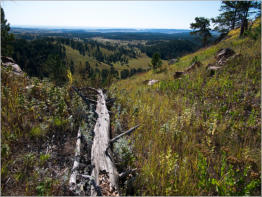 Rankin Ridge Trail - Wind Cave NP, SD