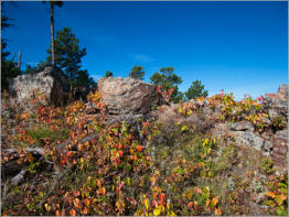 Rankin Ridge Trail - Wind Cave NP, SD