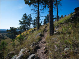 Rankin Ridge Trail - Wind Cave NP, SD