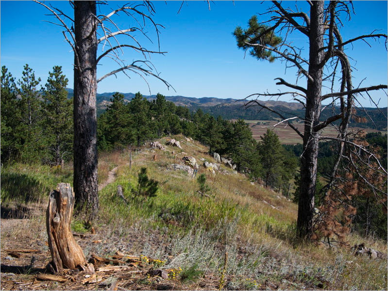 Rankin Ridge Trail - Wind Cave NP, SD