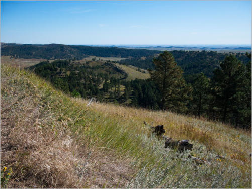 Rankin Ridge Trail - Wind Cave NP, SD