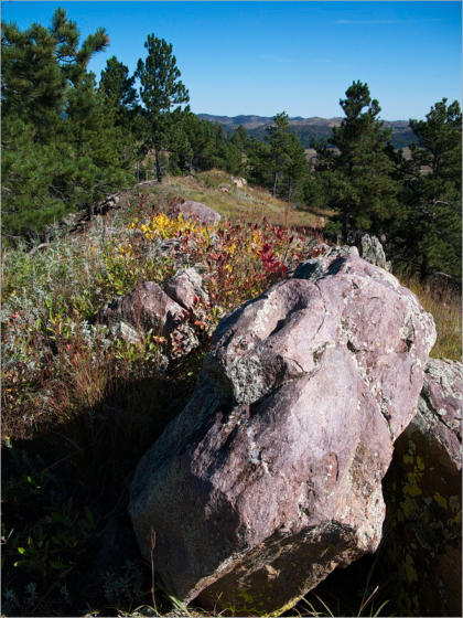 Rankin Ridge Trail - Wind Cave NP, SD