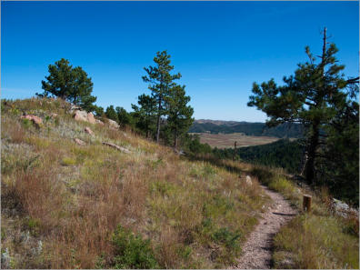 Rankin Ridge Trail - Wind Cave NP, SD