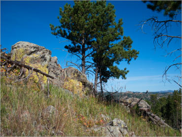 Rankin Ridge Trail - Wind Cave NP, SD