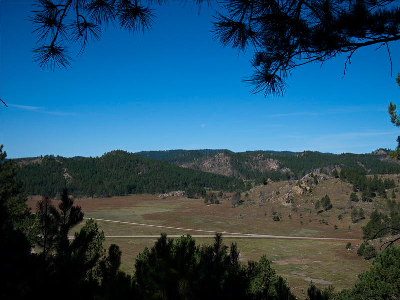 Rankin Ridge Trail - Wind Cave NP, SD