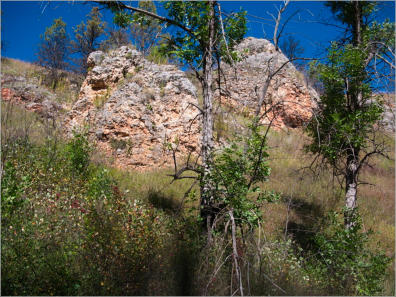 Custer State Park - SD