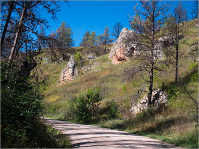 Custer State Park - SD