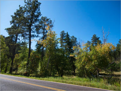 Needles Highway, SD