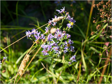 Needles Highway - SD