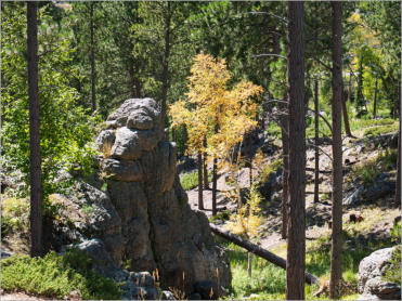 Needles Highway - SD