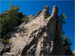 Needles Highway (SD 87)